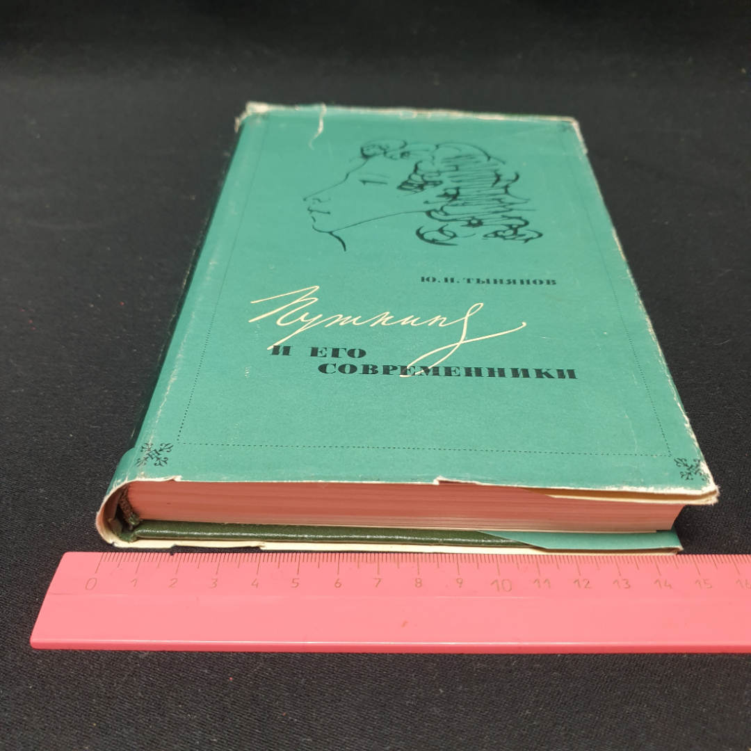 Ю. Н. Тынянов, Пушкин и его современники, изд-во Наука 1969, СССР. Картинка 11