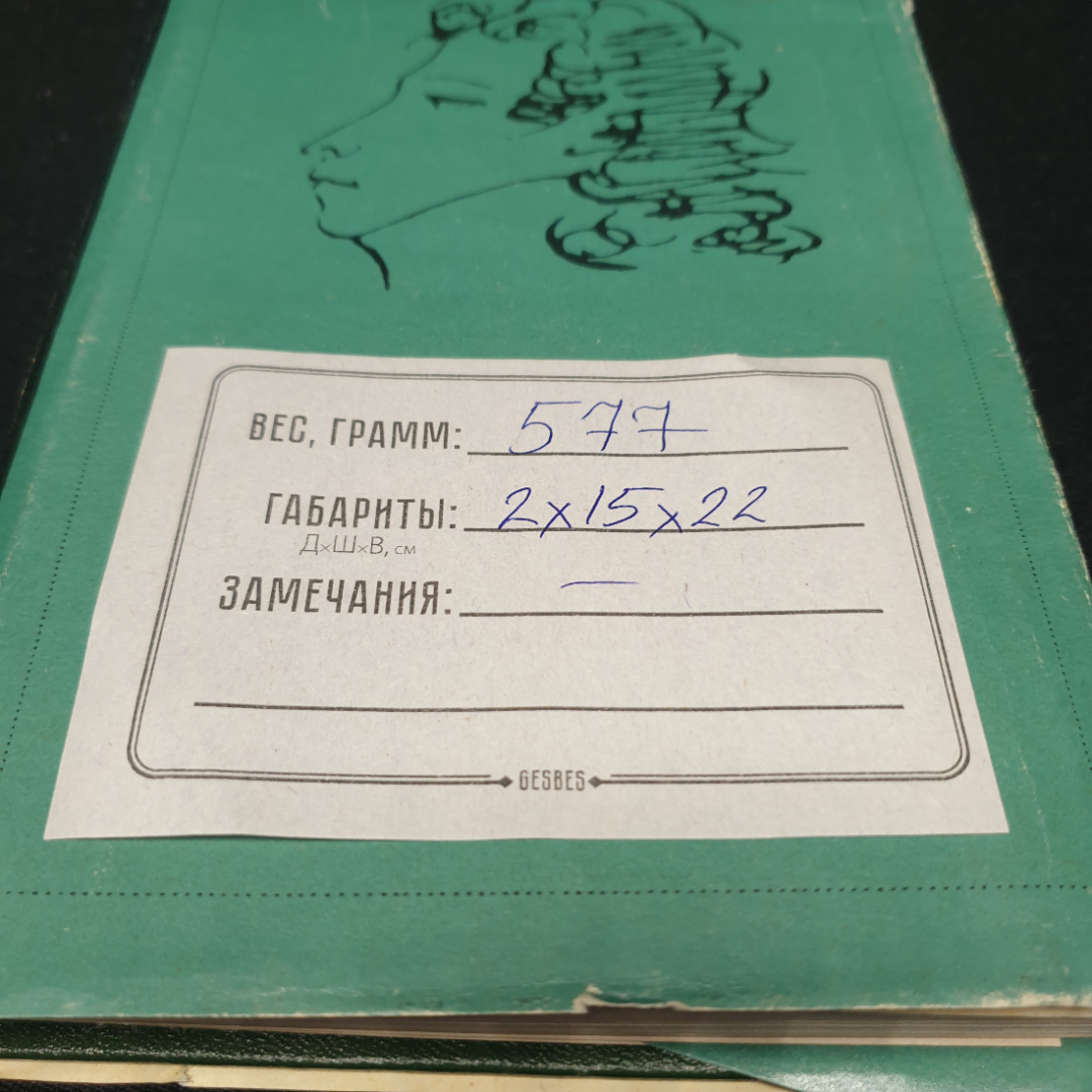 Ю. Н. Тынянов, Пушкин и его современники, изд-во Наука 1969, СССР. Картинка 13