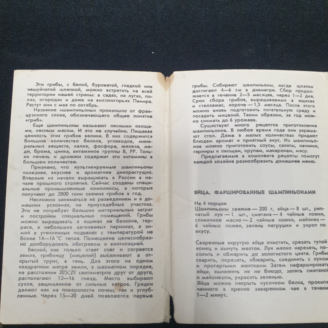 Набор открыток " Советы хозяйкам" СССР 1985. Картинка 4