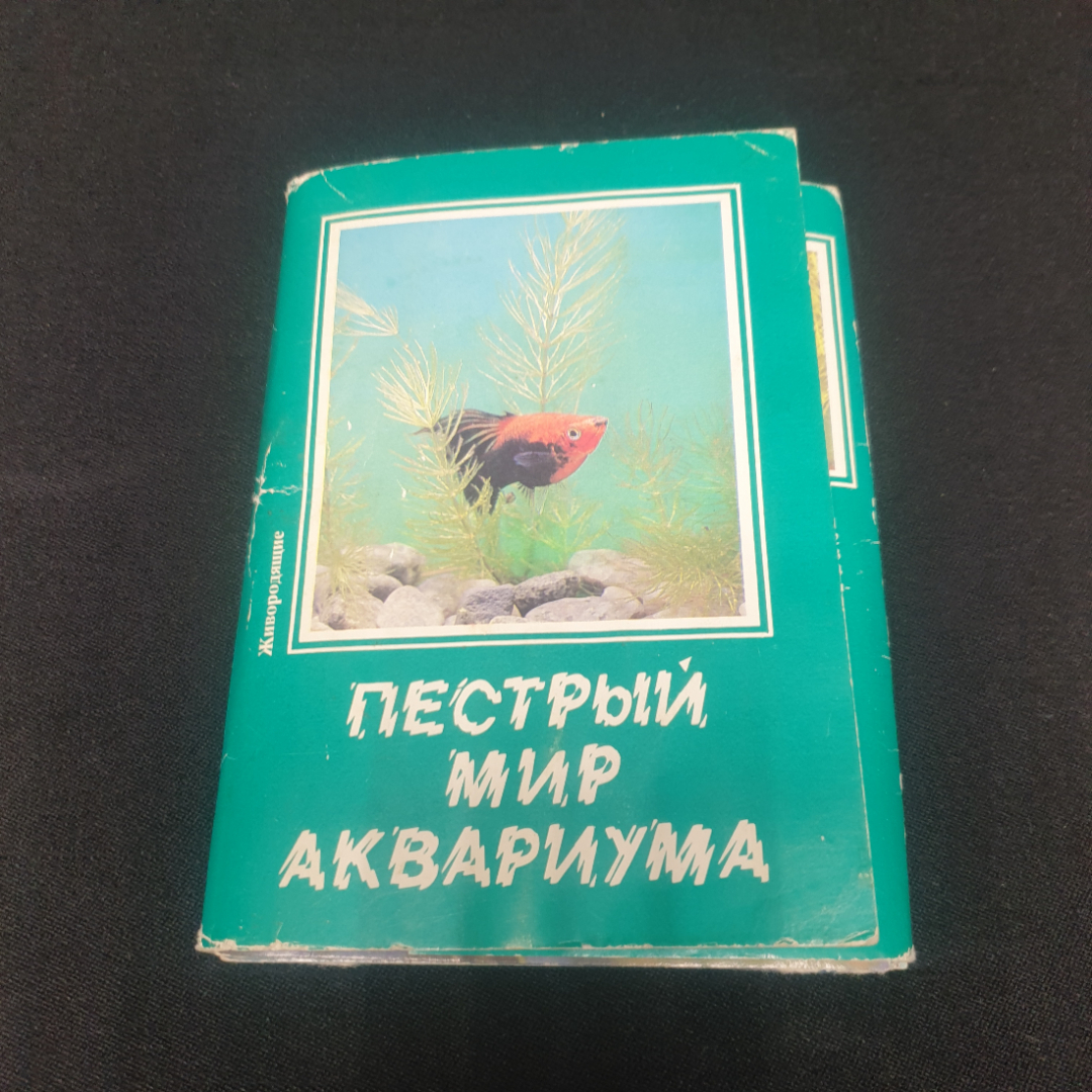 Набор открыток "Пестрый мир аквариума" СССР 1989. Картинка 1