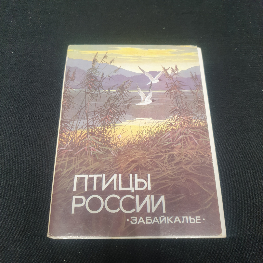 Набор открыток "Птицы России. Забайкалье". СССР 1987. Картинка 1