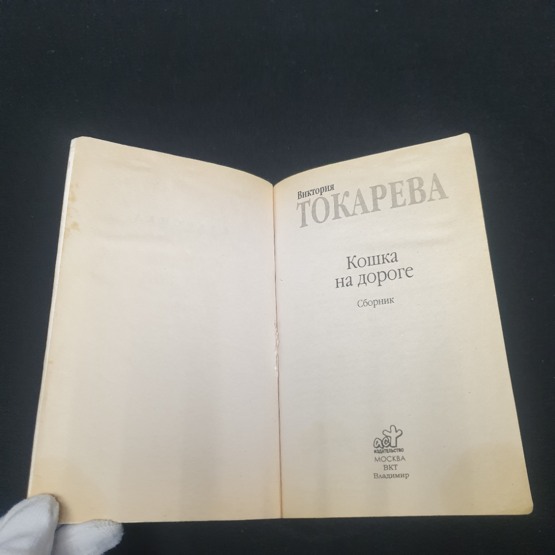 Токарева Виктория "Кошка на дороге", изд-во АСТ, 2007. Картинка 5