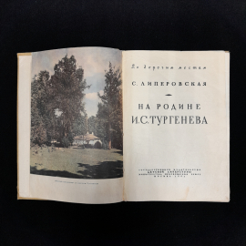 Картинка 5