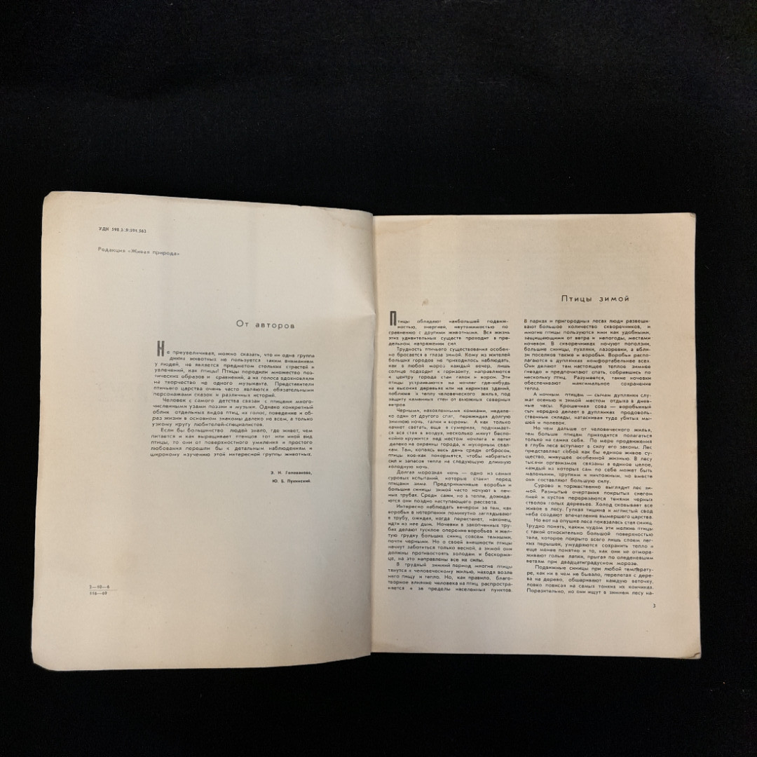 Э.Н. Голованова, Ю.Б. Пукинский "Гнездо - дом", изд. Лесная промышленность, 1971. Картинка 5