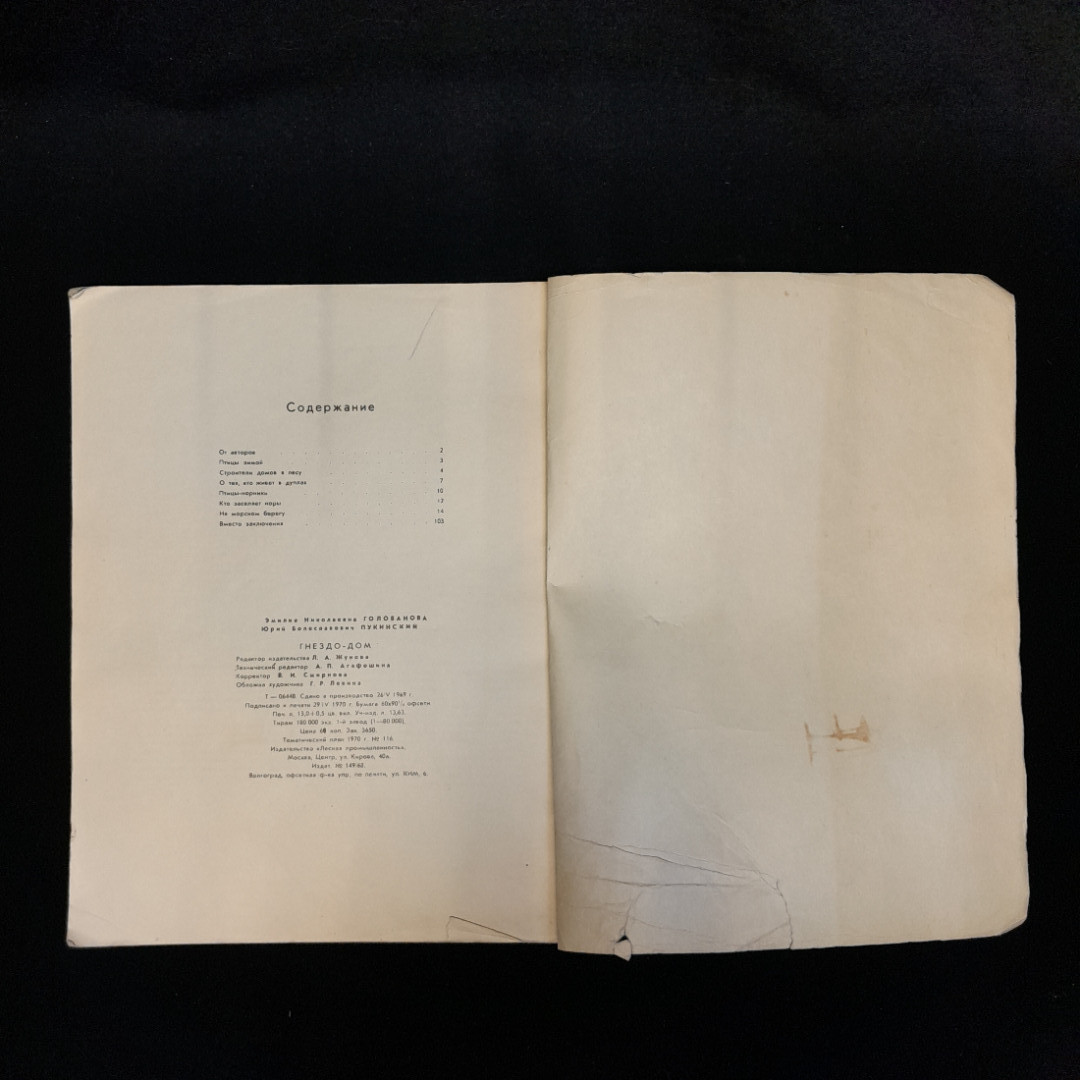 Э.Н. Голованова, Ю.Б. Пукинский "Гнездо - дом", изд. Лесная промышленность, 1971. Картинка 6
