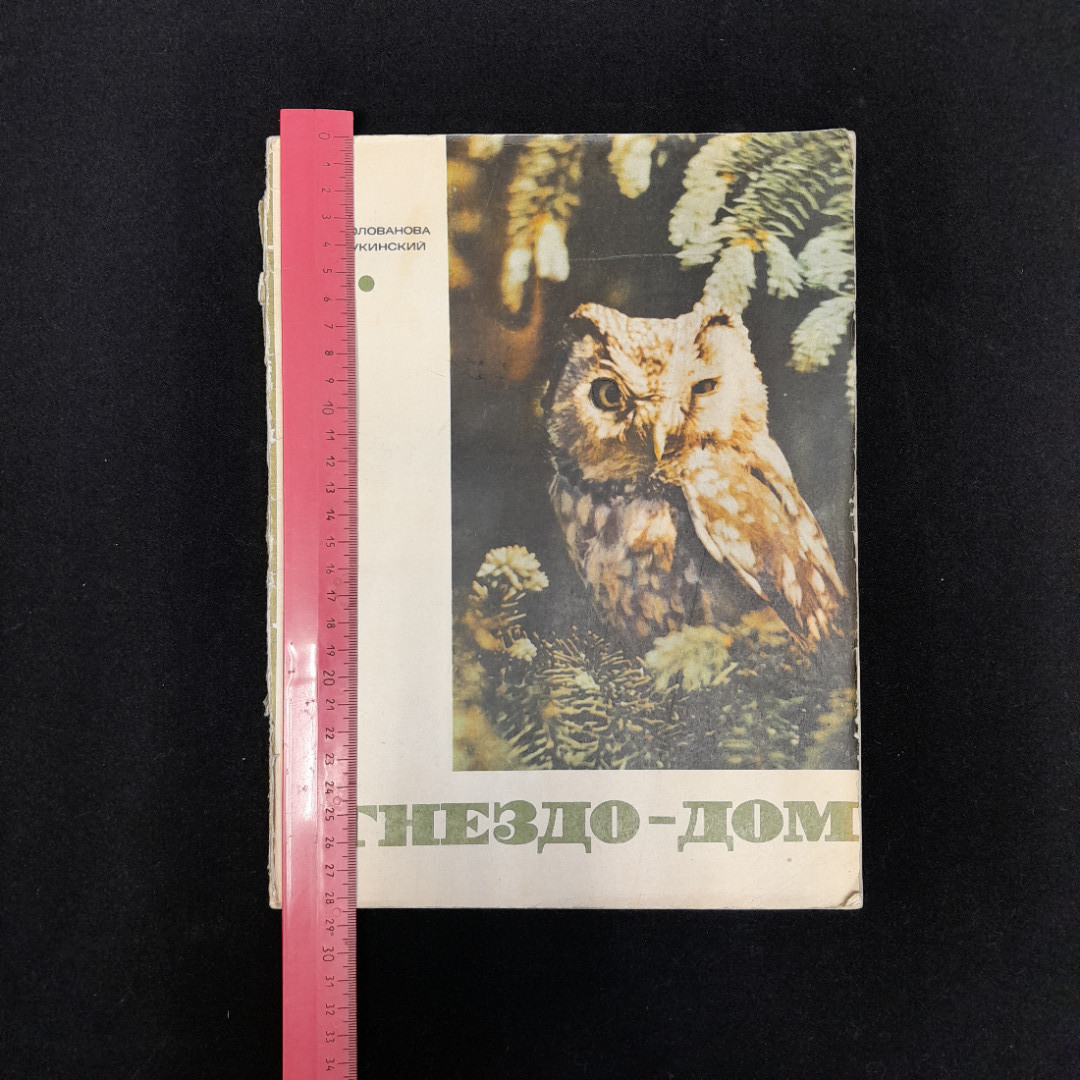 Э.Н. Голованова, Ю.Б. Пукинский "Гнездо - дом", изд. Лесная промышленность, 1971. Картинка 9