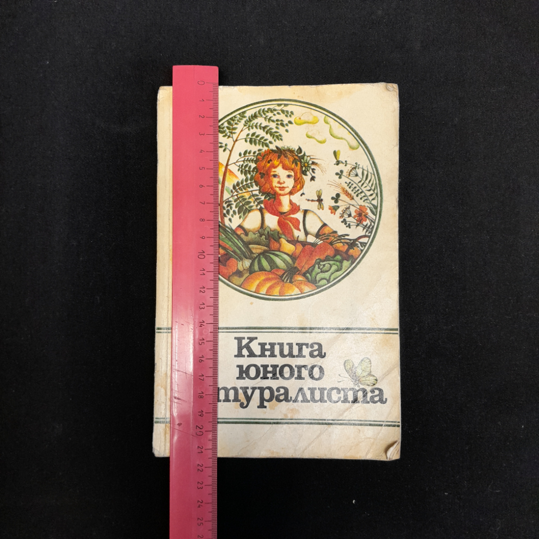 И. Шабаршов, Л. Исаченко, В. Санин "Книга юного натуралиста", изд."Молодая гвардия", 1981, СССР. Картинка 11