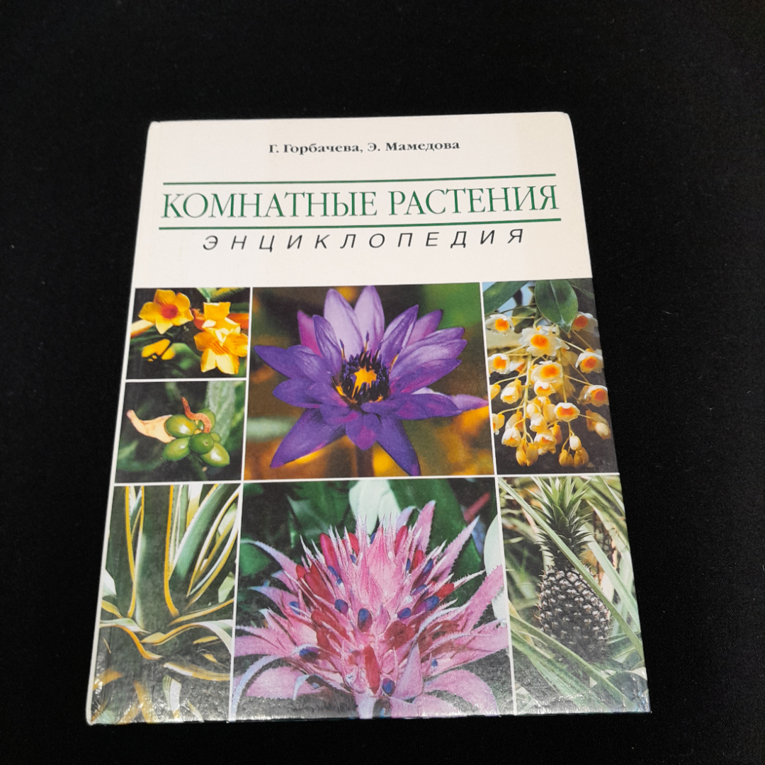 Книга Горбачева Г. и Мамедова Э. "Комнатные растения энциклопедия", из-во "Фитон" Москва 2001.. Картинка 1