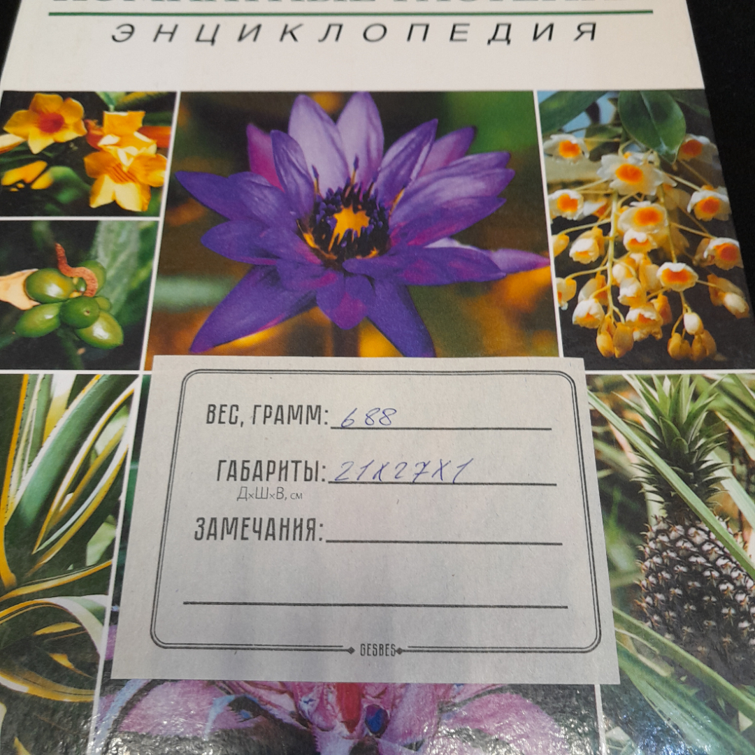 Книга Горбачева Г. и Мамедова Э. "Комнатные растения энциклопедия", из-во "Фитон" Москва 2001.. Картинка 12