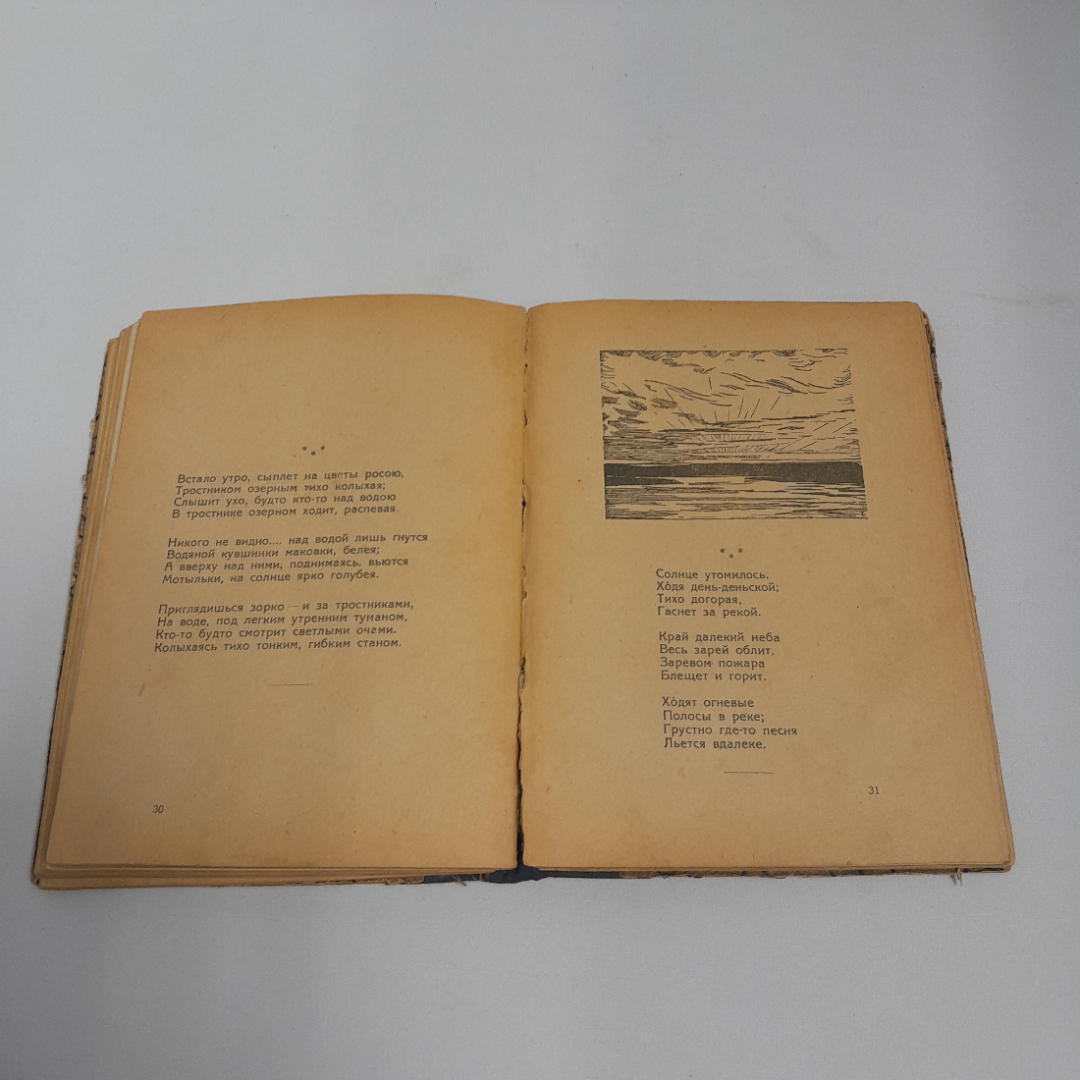 И.С.Тургенев "Бирюк" 1917 г., стихотворения И.З. Сурикова 1919 г. Картинка 9