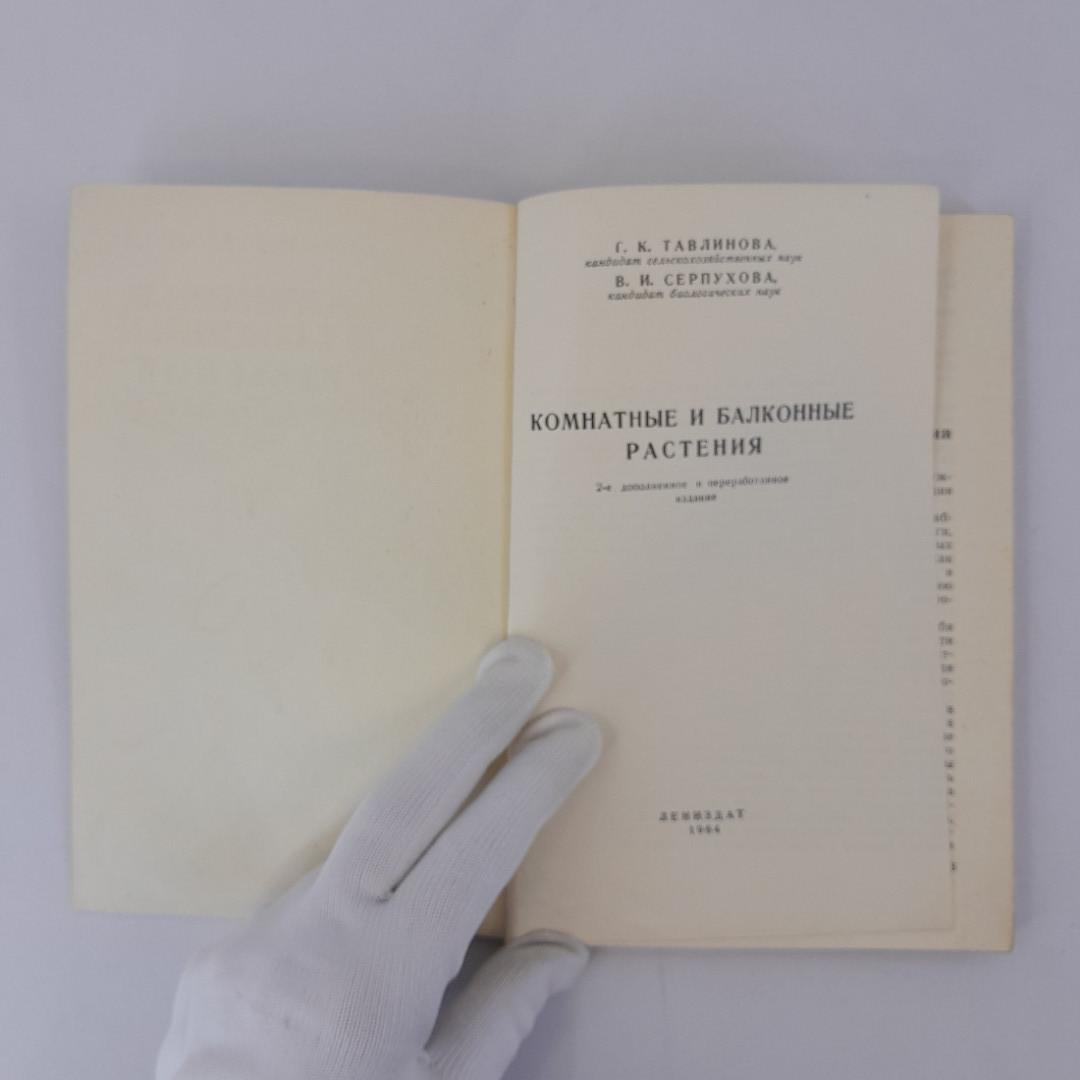 Г.К. Тавлинова, В.И. "Комнатные и балконные растения", ЛЕНИЗДАТ 1964, винтаж, СССР. Картинка 4