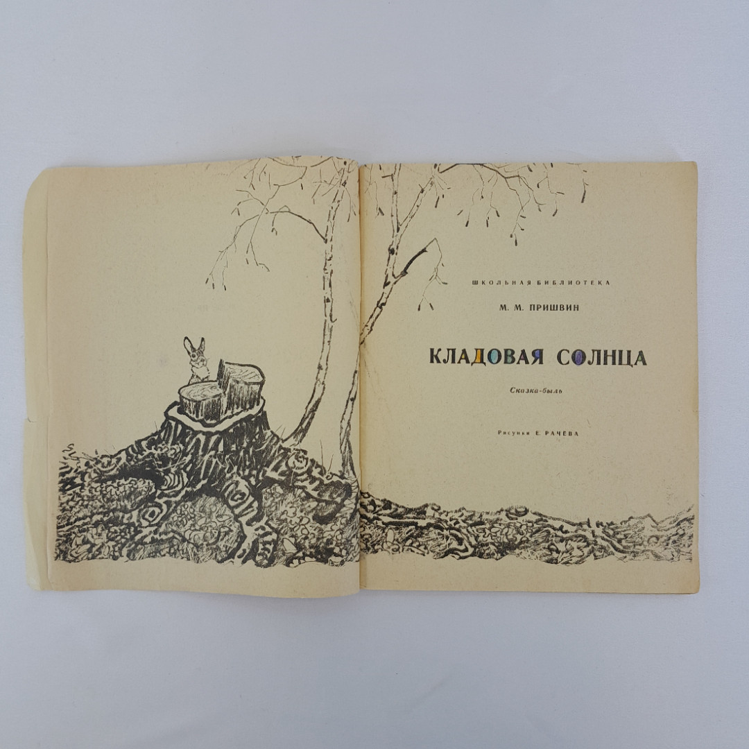 М. Пришвин "Кладовая солнца", "Детская литература", 1975 г, винтаж, СССР. Картинка 5