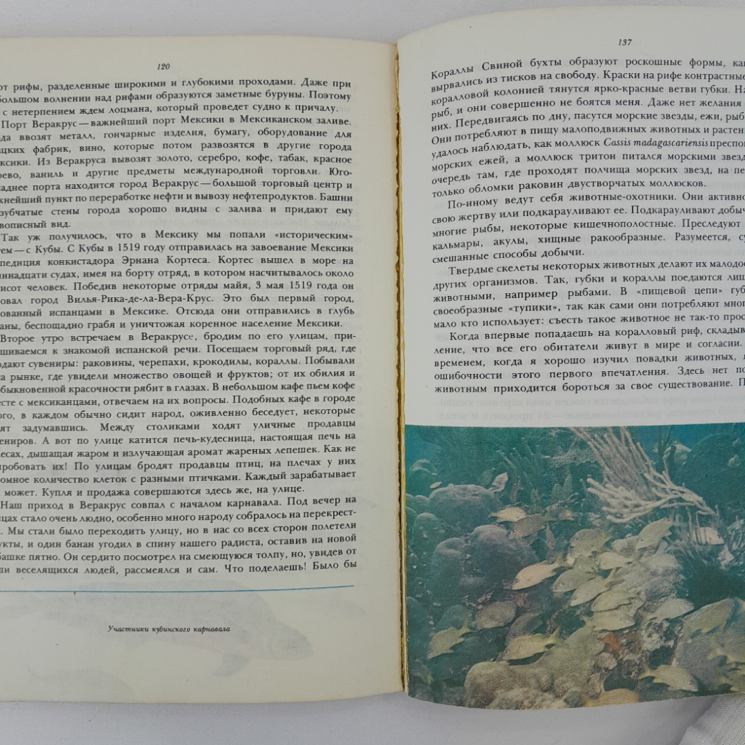 Г. Головань "По дну тропического моря", Москва "Мысль", 1978 г, винтаж, СССР. Картинка 7