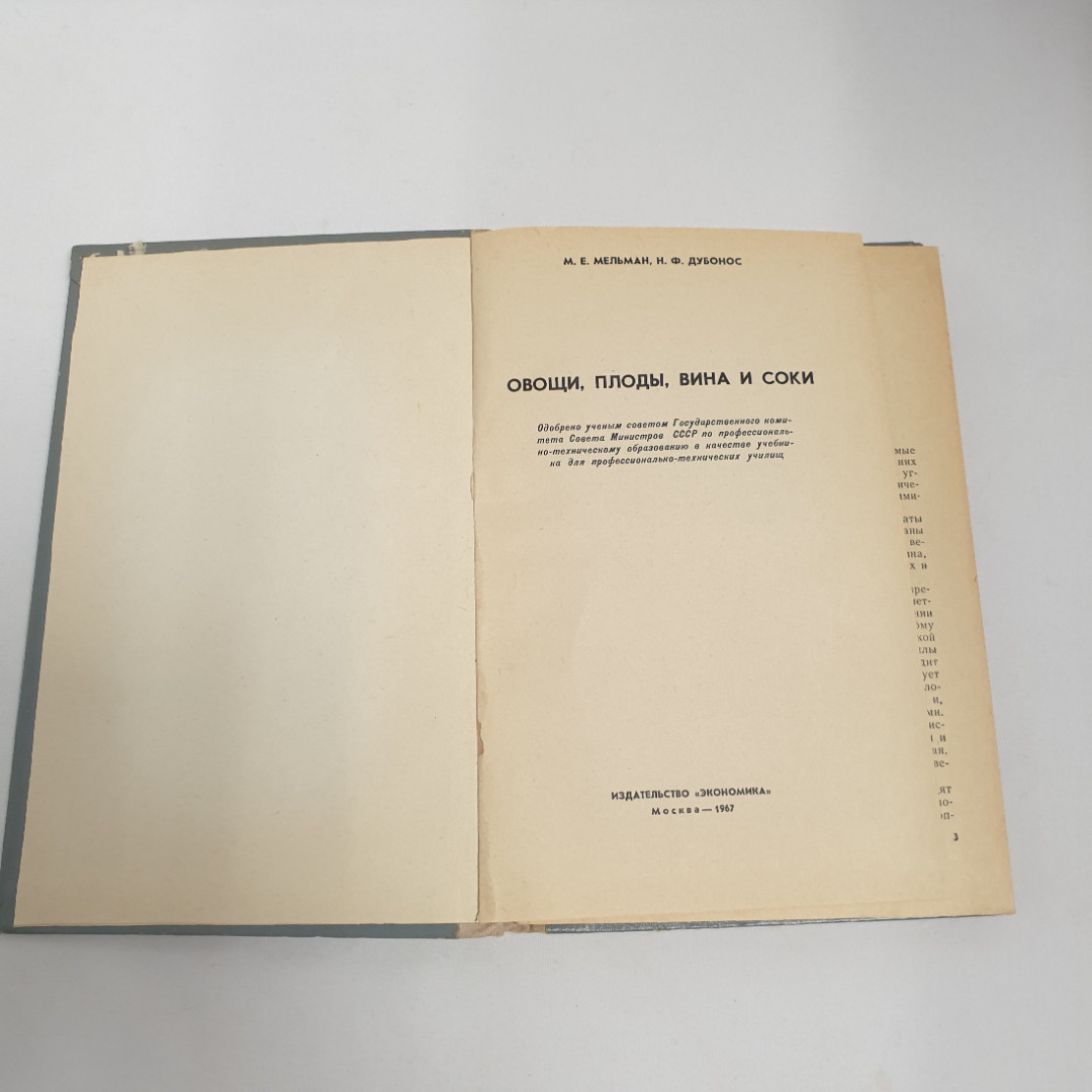 М.Е.Мельман, Н.Ф.Дубонос "Овощи, плоды, вина, соки", из-во "Экономика", 1967 г. Винтаж, СССР.. Картинка 5