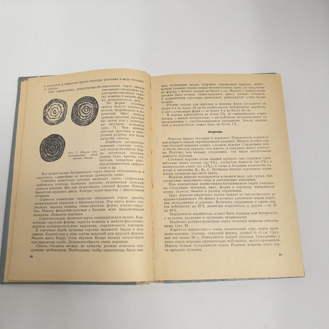 М.Е.Мельман, Н.Ф.Дубонос "Овощи, плоды, вина, соки", из-во "Экономика", 1967 г. Винтаж, СССР.. Картинка 8