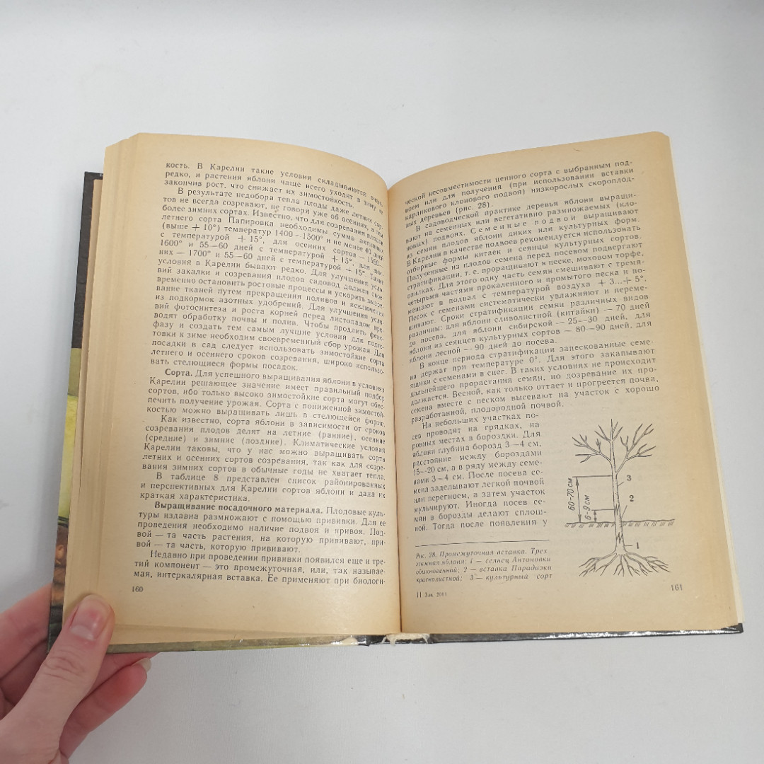 "На приусадебном участке", советы садоводу и огороднику, из-во "Карелия", 1991 г. Витаж.. Картинка 9