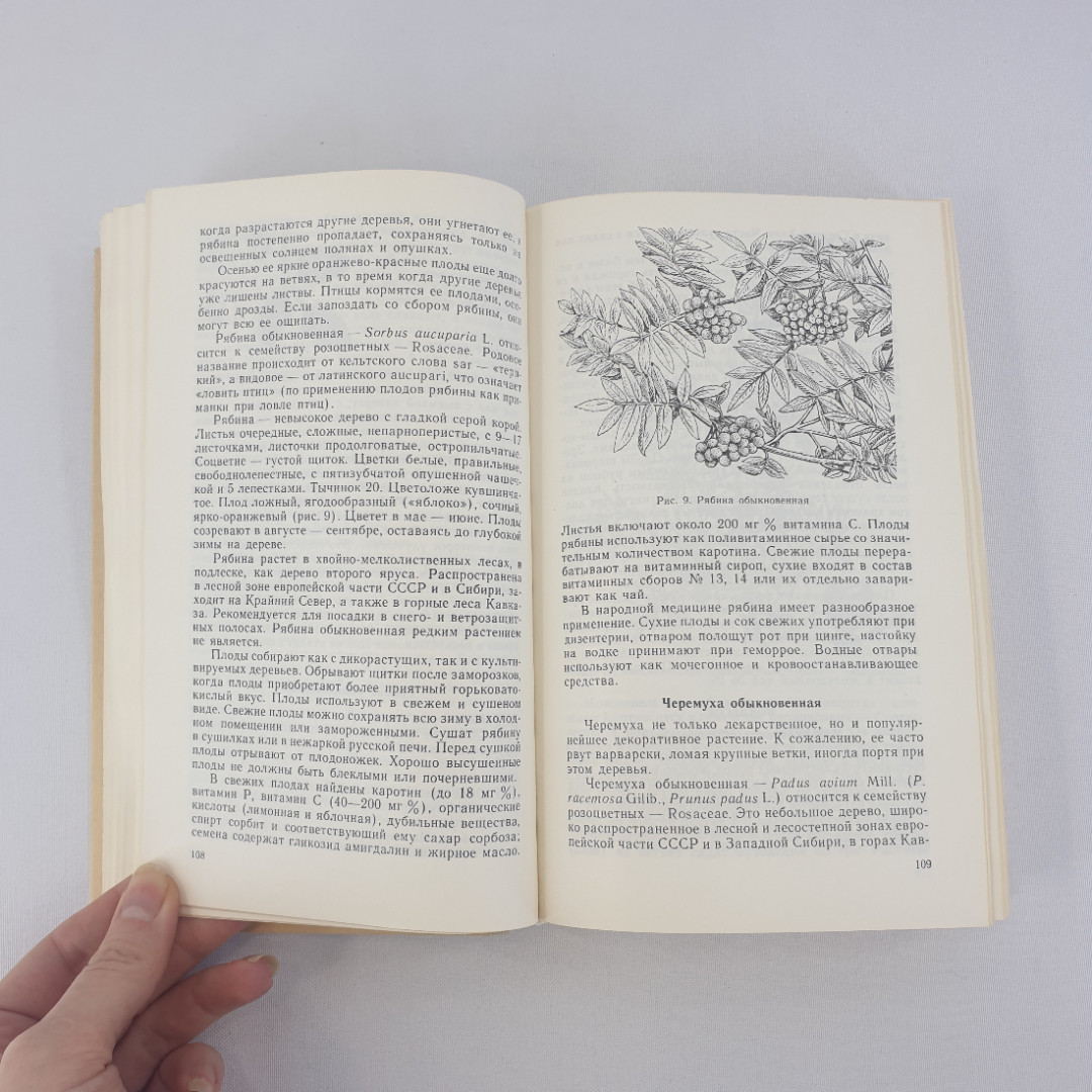 А.Ф.Гаммерман,Г.Н.Кадаев,А.А.Яценко-Хмелевский "Лекарственные растения",из-во "Высшая школа",1990г.. Картинка 7