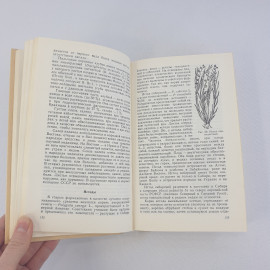 А.Ф.Гаммерман,Г.Н.Кадаев,А.А.Яценко-Хмелевский "Лекарственные растения",из-во "Высшая школа",1990г.. Картинка 8