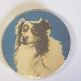 Значок "Бордер-колли", СССР