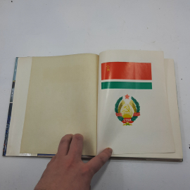 Картинка 9