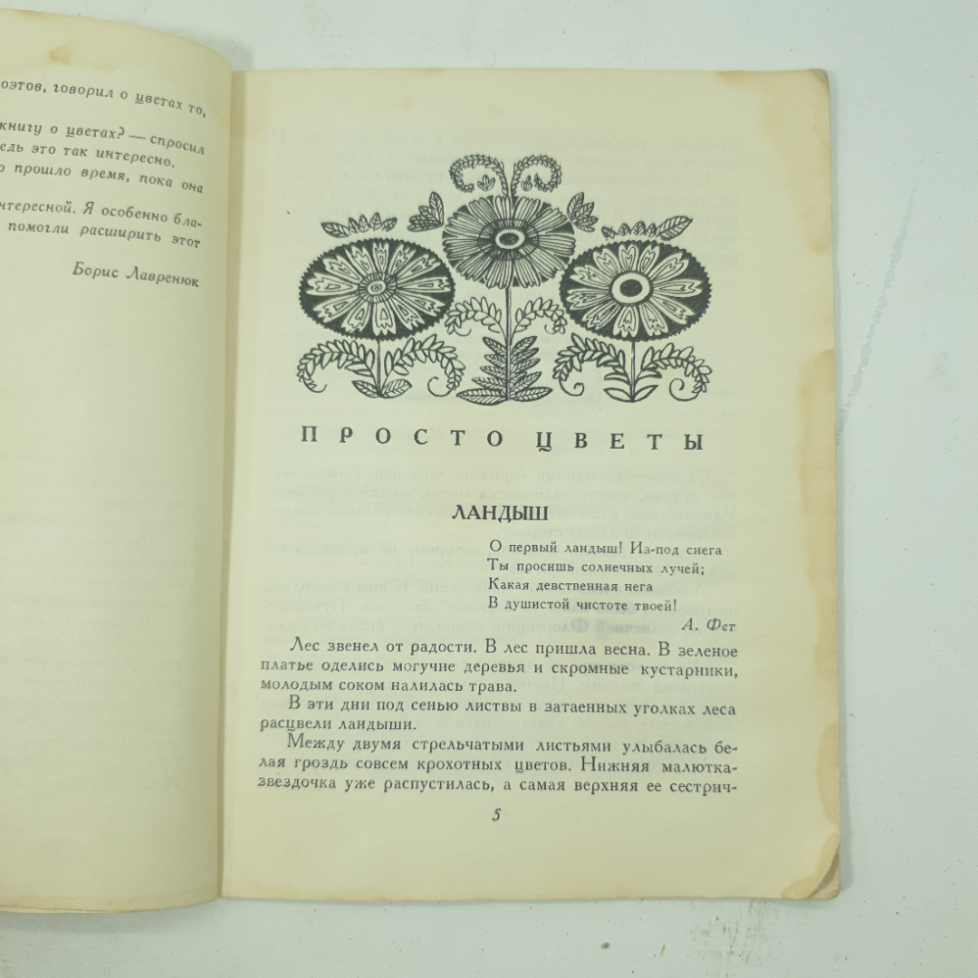 "Встреча с цветами" Б.Лавренюк. Картинка 5