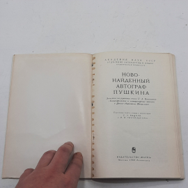 Картинка 3