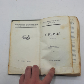 Картинка 3