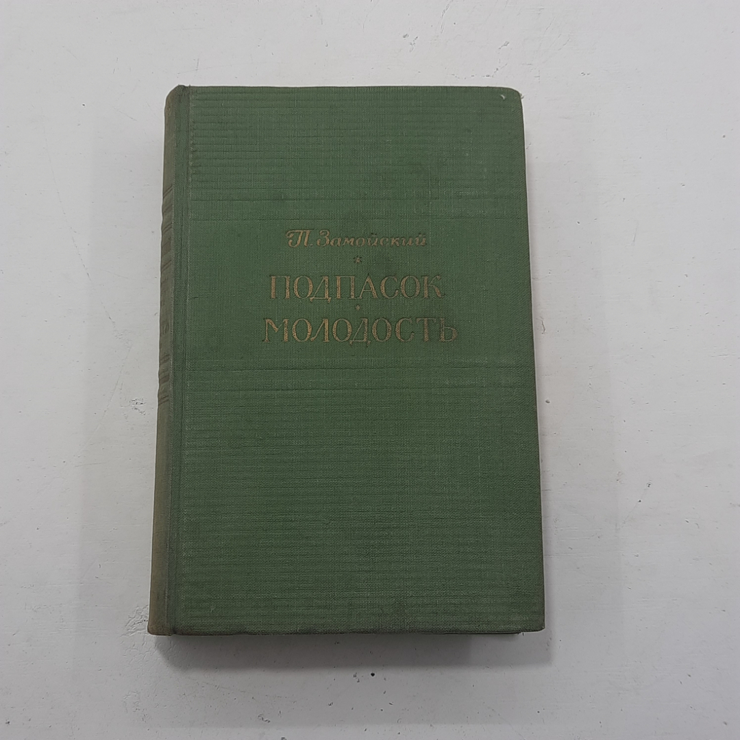 "Подпасок, Молодость" П.Замойский. Картинка 1