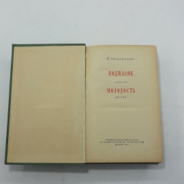 "Подпасок, Молодость" П.Замойский. Картинка 3