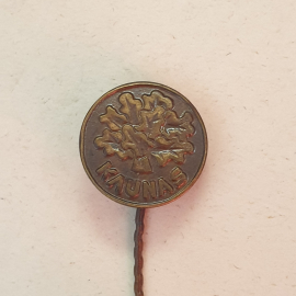 Значок СССР. Металлический, Каунский дуб. Коллекционный, редкий предмет. Советский, винтажный.