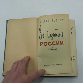 "Во глубине России" Федор Певнев. Картинка 3