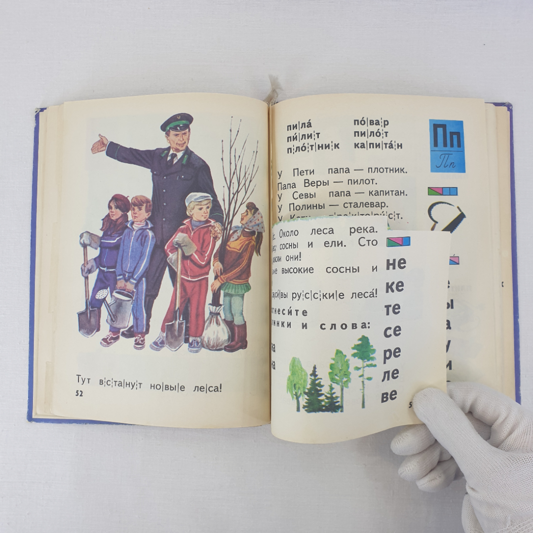 Картинка 8