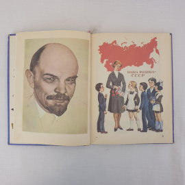 Картинка 6