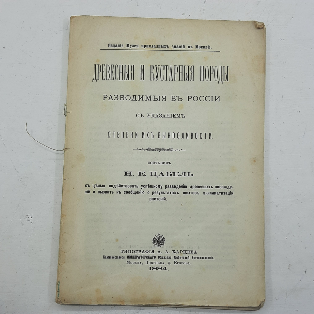 "Древесныя и кустарныя породы" Н.Е.Цабель. Картинка 1