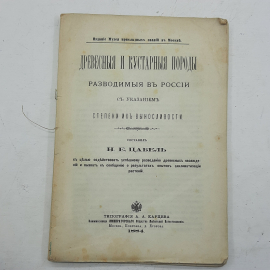 "Древесныя и кустарныя породы" Н.Е.Цабель