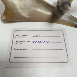 Сувенир из рога "Птицы на коряге" длина 26 см. Винтаж, СССР.. Картинка 10