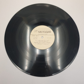 Виниловая Пластинка СССР Stas Namin Group Гимн Солнцу Melodiya 1980, коллекционный, советский, винта. Картинка 4