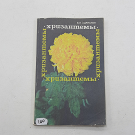 "Хризантемы" В.Н. Андрианов