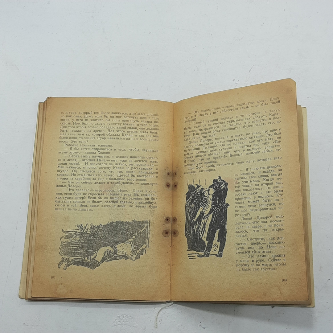 "Приключения охотника в Гран-Чако" А.Фриц. Картинка 7