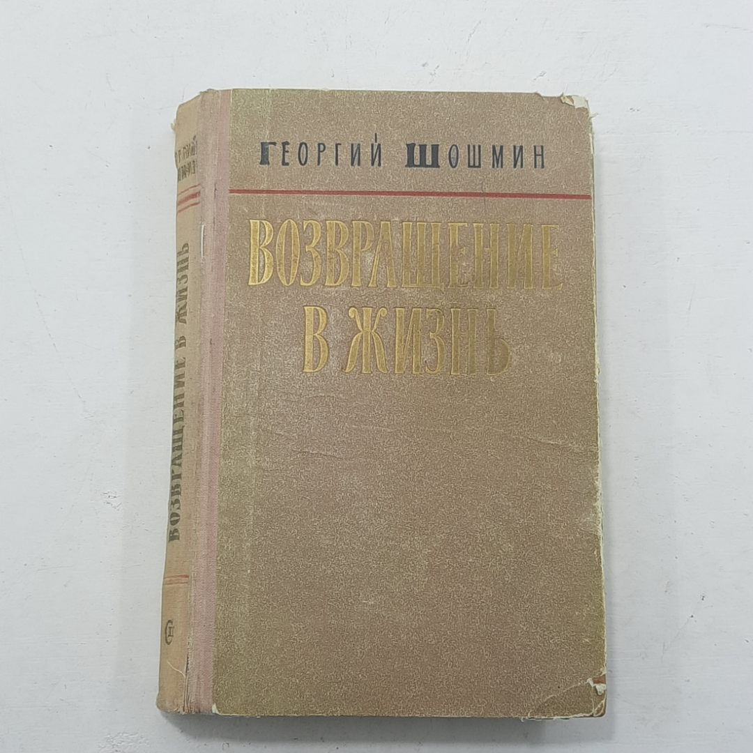 "Возвращение в жизнь" Г. Шомшин. Картинка 1