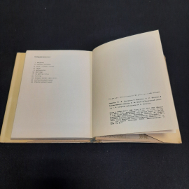 Л.Н. Воронихина Лондон, Искусство Ленинград 1969 г, винтаж СССР. Картинка 6