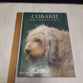 Книга СССР: Собаки, Маркус Шнек Джилл Кэрэзен, Белфакс, Мир животных, 98 фото, винтажная. Картинка 8