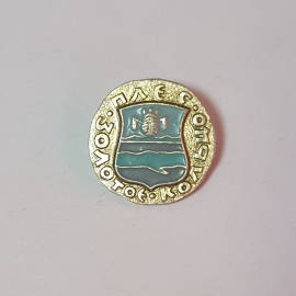 Значок СССР Плеся с гербом, Золотое кольцо, эмаль, круглый, металлический, советский, винтажный.