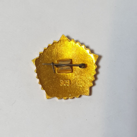 Значок СССР, ГТО. Бегущий человек на фоне звезды, золотой ободок. Советский, винтажный.. Картинка 2