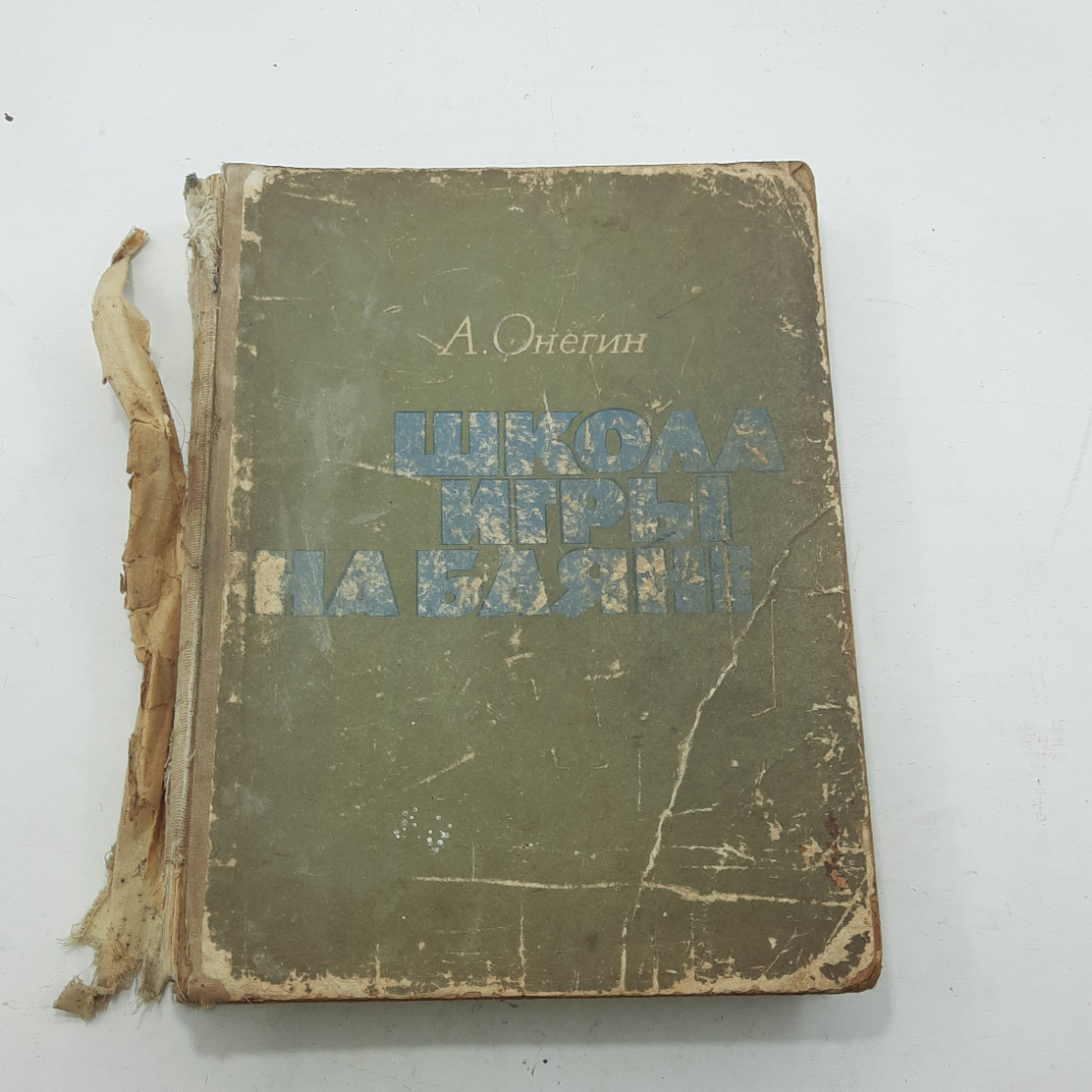 а онегин школа игры (99) фото