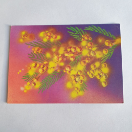 Почтовая открытка с изображением ветки мимозы на фиолетово-розовом фоне, стиль винтажный.