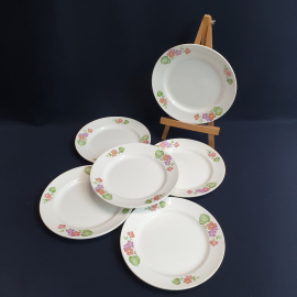 Набор столовых тарелок 20 см 6 шт, ЗИК Конакова, фаянс, деколь. Винтаж, СССР.