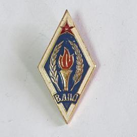 Значок СССР ВДПО, факел и лавровые ветви на синем фоне с красной звездой, советский, винтажный.