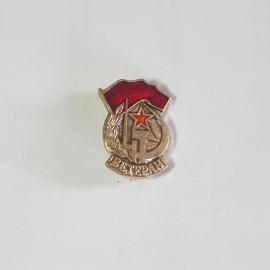 Значок СССР Ветеран с флагом и красной звездой, коллекционный предмет, советский и винтажный