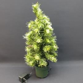 Картинка 3